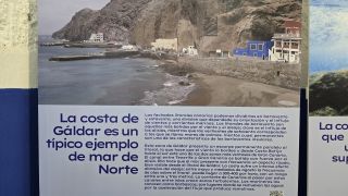 GC-Puerto de Sardina (Galdar) 2025-054.jpg